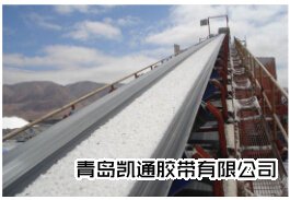 耐酸碱输送带