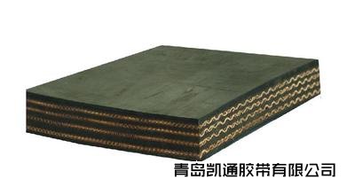 聚酯输送带