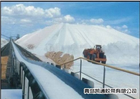 耐酸碱输送带
