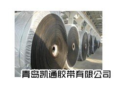 聚酯输送带