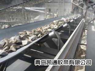 聚酯输送带